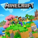 MINECRAFT [PS5] PL