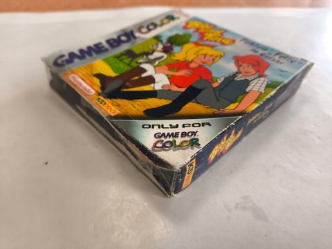 BIBI AND TINA [GAME BOY COLOR] PO NIEMIECKU