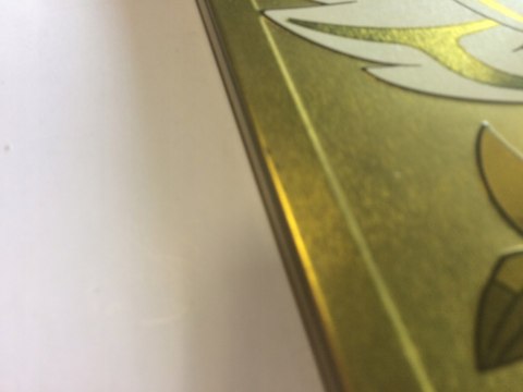 POKEMON SWORD + ZŁOTY STEELBOOK [NINTENDO SWITCH]