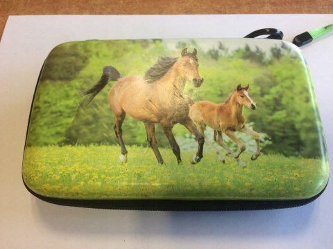 KONSOLA NEW NINTENDO 2DS XL BIAŁO-POMARAŃCZKOWA + USB + RYSIK + ETUI